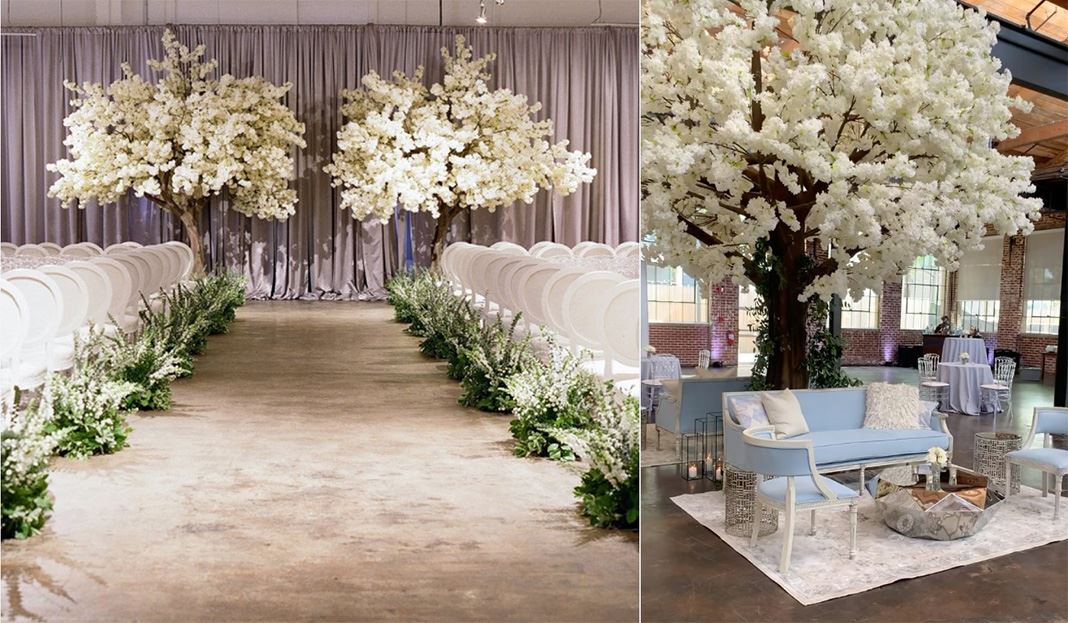 giant cherry blossom trees