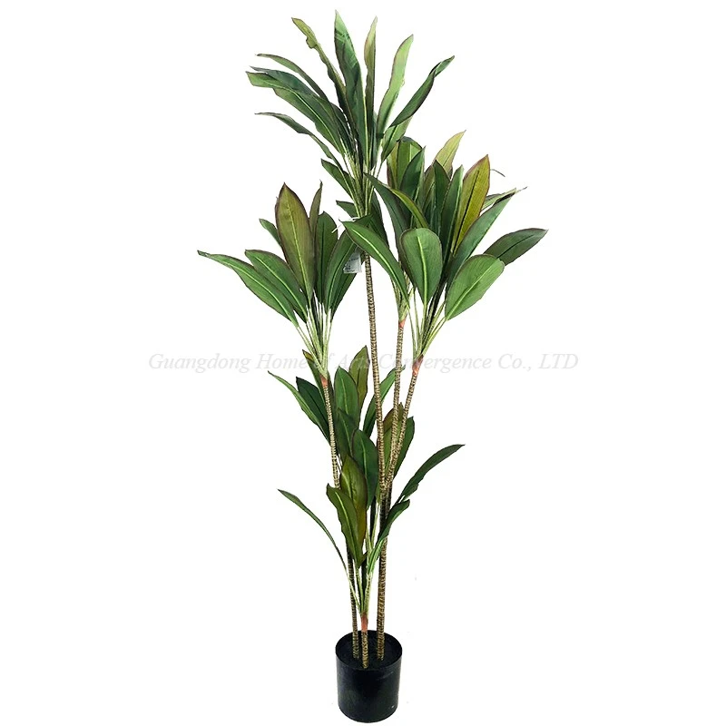 Premium Artificial Dracaena Tree