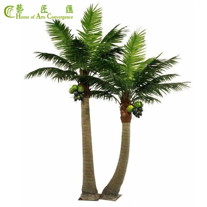 Decorative Palm Trees
