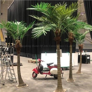Crainn Palm Saorga Allamuigh